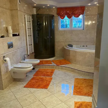 B-willa Basen & Jacuzzi, Sauna Slopnice