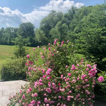 Villa B-willa Basen & Jacuzzi, Sauna Slopnice