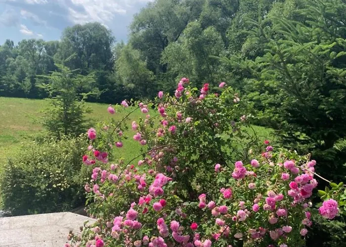 Villa B-willa Basen & Jacuzzi, Sauna Slopnice